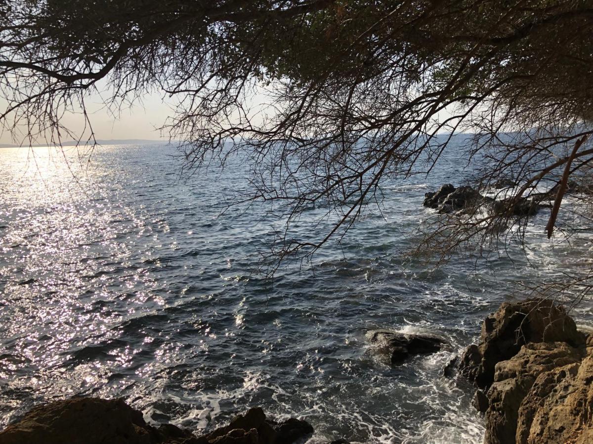 Mer Et Soleil Bormes-les-Mimosas Εξωτερικό φωτογραφία